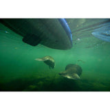 Kayak Aquaglide Chelan One HB-Kayak Gonflable-AQUAGLIDE